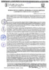 Vista preliminar de documento RGM-1018-2024