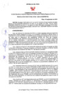 Vista preliminar de documento RD Nº234