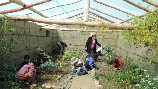 Alimentos frescos para complementar servicio alimentario escolar de Qali Warma
