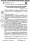 Vista preliminar de documento RGM-1029-2024