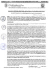 Vista preliminar de documento RGM-1030-2024