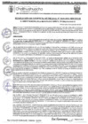 Vista preliminar de documento RGM-1036-2024