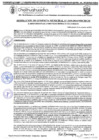 Vista preliminar de documento RGM-1039-2024