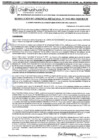 Vista preliminar de documento RGM-1042-2024