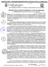 Vista preliminar de documento RGM-1045-2024