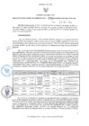 Vista preliminar de documento ORA. 399