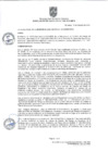 Vista preliminar de documento RA 345-2024