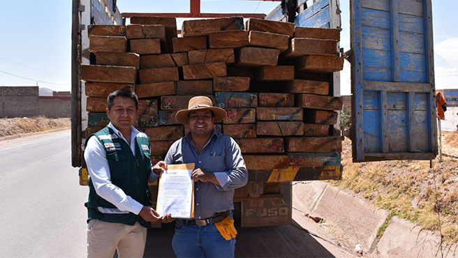 puno entrega