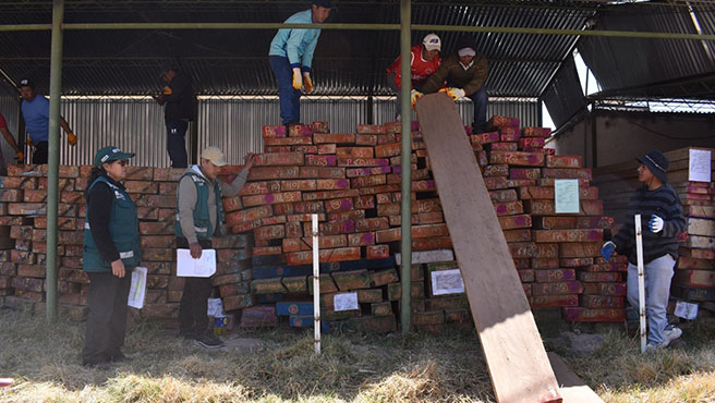 puno entrega