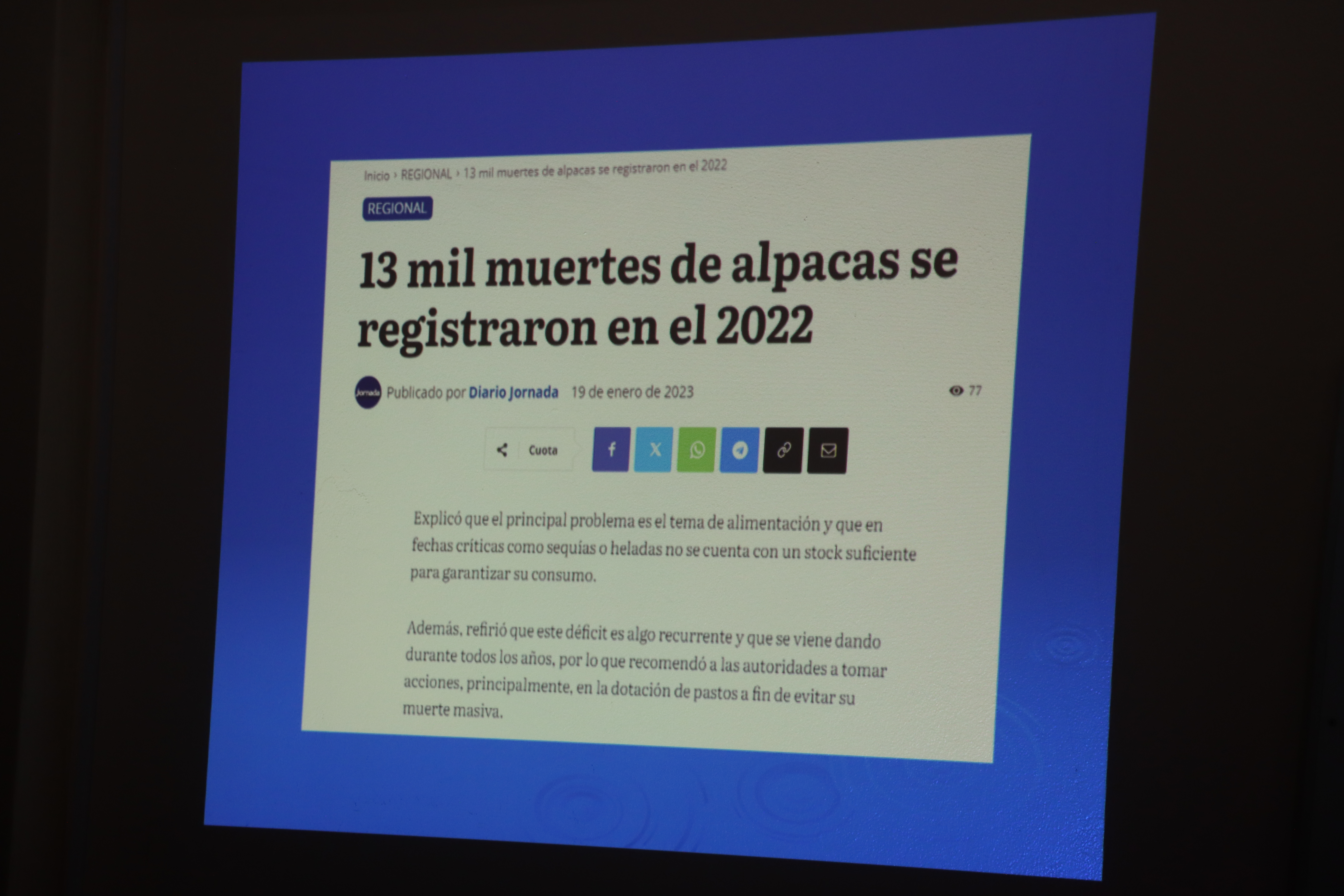 DRA Ayacucho sostuvo reunión para atender las necesidades de los productores alpaqueros