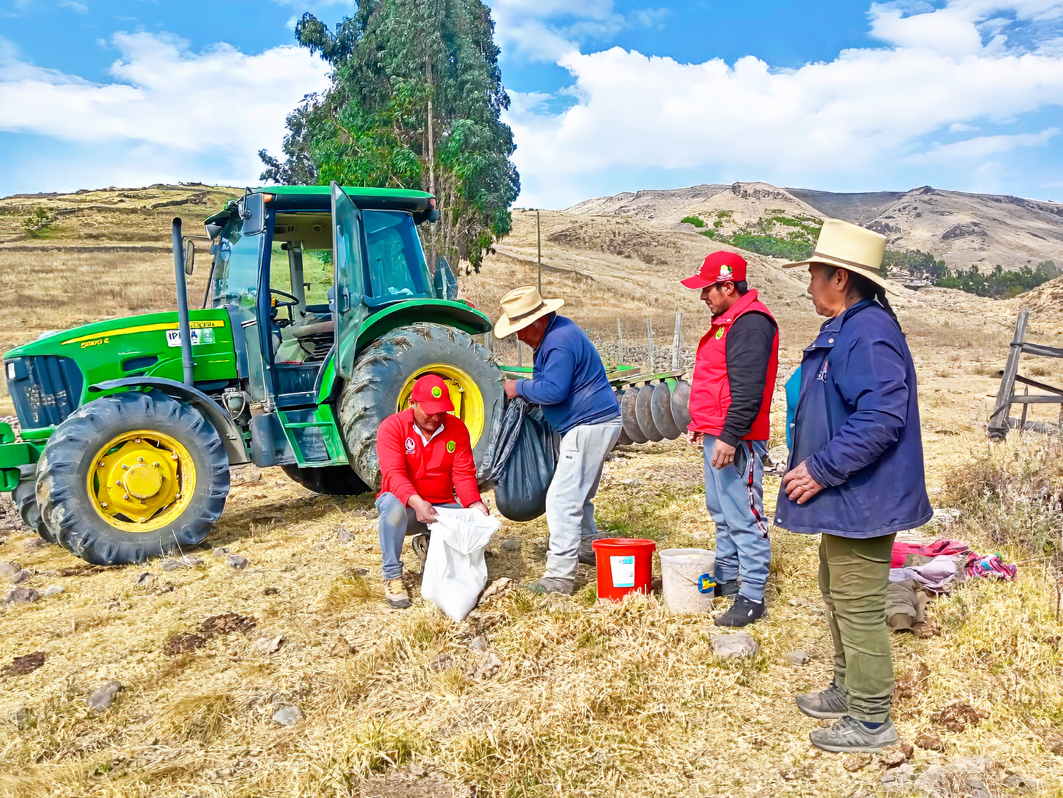 Avanza instalación de 110 hectáreas de pastos y forrajes en Parinacochas