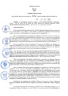 Vista preliminar de documento RER.528