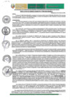Vista preliminar de documento RGM-669-2024-GM-MPLC