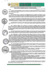 Vista preliminar de documento RGM-672-2024-GM-MPLC
