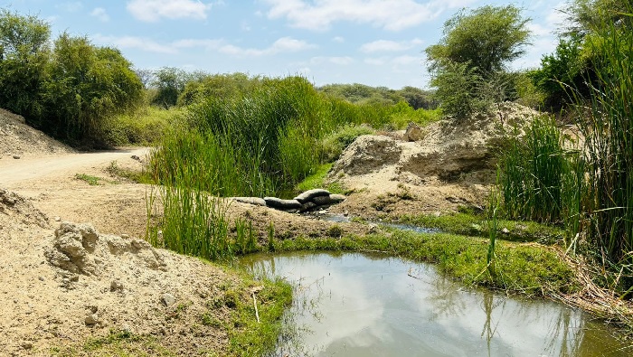 Construirán puente San Pablo