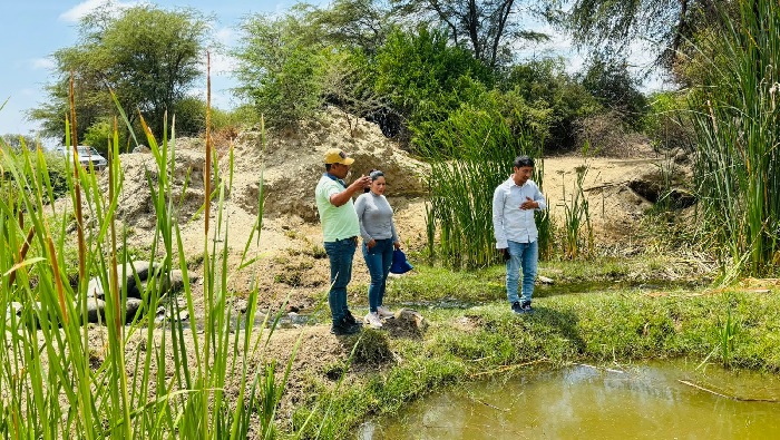 Terreno