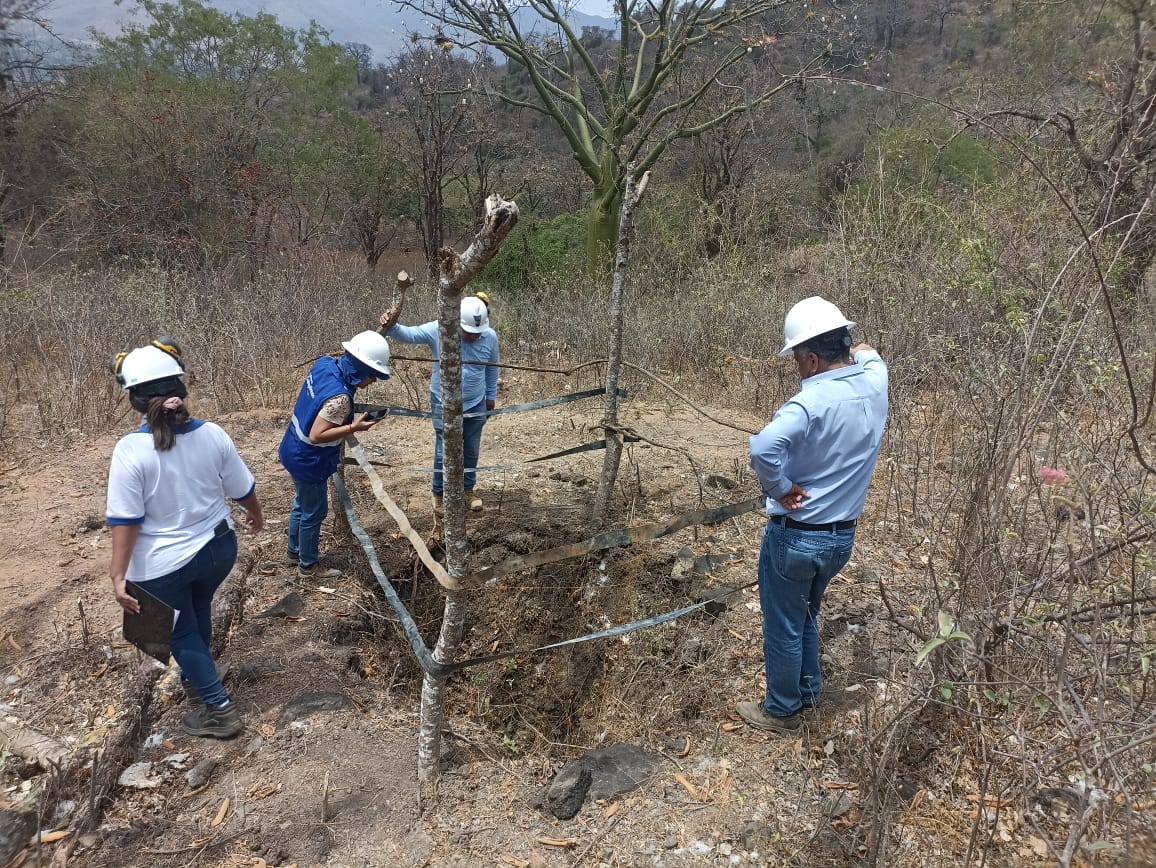 verificación de actividades mineras