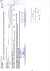 Vista preliminar de documento ANEXO N° 06-N°243