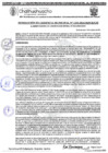 Vista preliminar de documento RGM 1233-2024