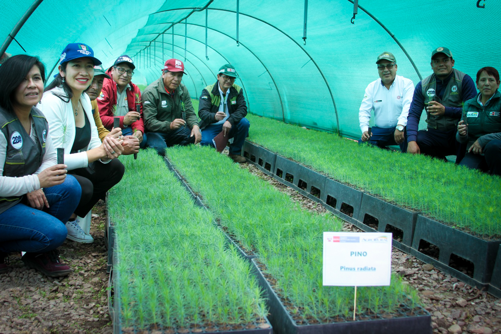 AGRO RURAL