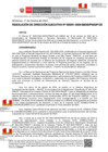 Vista preliminar de documento RDE241