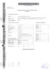 Vista preliminar de documento Alan Joe Medina Queneche_Gerente_cese