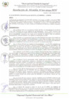 Vista preliminar de documento RA_320_2024_MDI