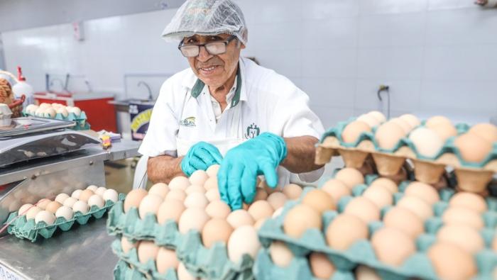  Hoy ofertas en huevo, zanahoria, papa, camote, uva, palta, sandía y otros en mercados mayoristas 