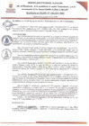 Vista preliminar de documento RAN409-2024