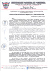 Vista preliminar de documento resolucion de gerencia municipal 204-2024-2