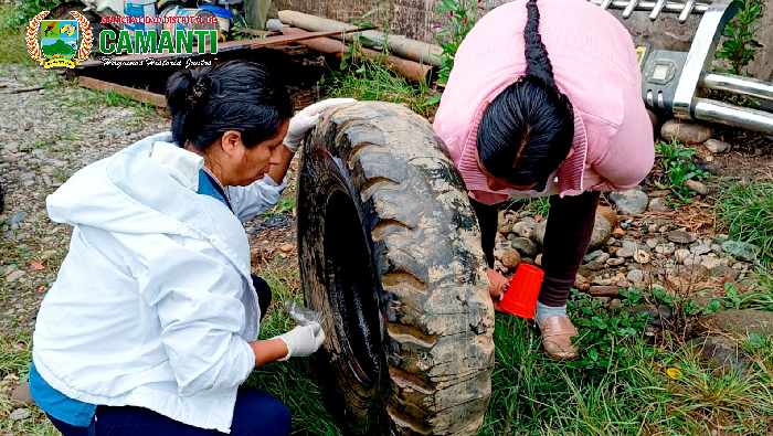 Exitosa Campaña de Recolección de Criaderos de Zancudo del Dengue en Camanti