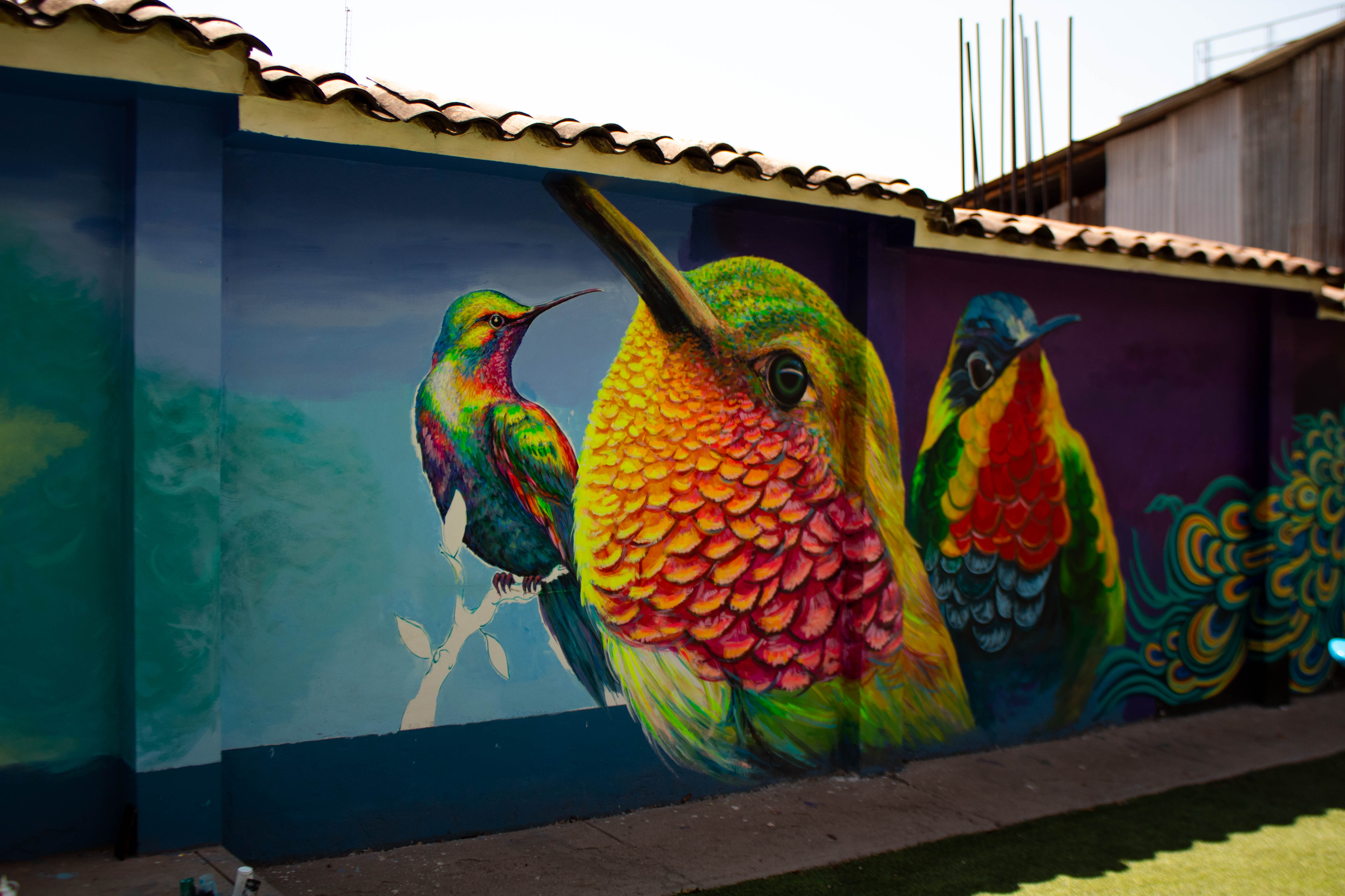 Un mural concluido, en la imagen se aprecia a un colibrí