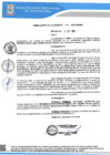 Vista preliminar de documento RA N 336_2024 QR