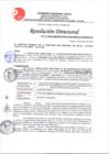 Vista preliminar de documento RD 003-2023 APROBAR EL EXPEDIENTE DE CONTRATACION DEL PROCEDIMIENTO DE SELECCION-CONCURSO PUBLICO N 001-2023