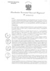 Vista preliminar de documento RGGR 530-2024