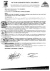 Vista preliminar de documento RES-161-2024