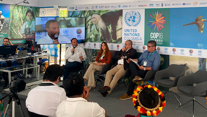 COP16