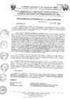 Vista preliminar de documento RER-212-2024-GOREMAD-CR