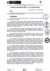 Vista preliminar de documento rd217-2024