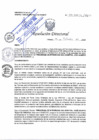 Vista preliminar de documento RD N° 207-2024-DE/HJATCH