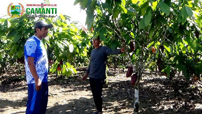 Festejamos el quinto aniversario de la asociación de productores agropecuarios selva alegre basiri