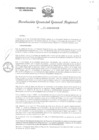 Vista preliminar de documento RGGR 534-2024