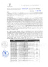 Vista preliminar de documento RG. 000828-2024-GSATDE.