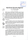 Vista preliminar de documento RER 510-2024-GOB