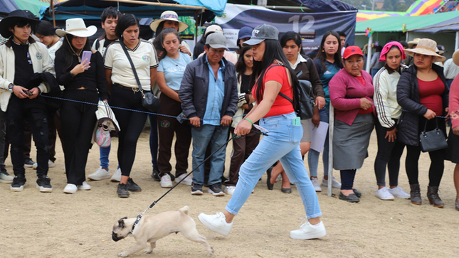 ¡Segundo Día de la Feria Agropecuaria, Agroindustrial y Artesanal 2024!