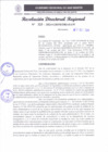 Vista preliminar de documento RDR 325-2024