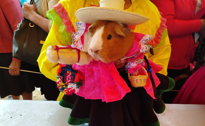 ¡Tercer día de la feria agropecuaria, agroindustrial y artesanal santísima virgen del rosario y qué día tan increíble!
