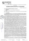 Vista preliminar de documento ACM24N219