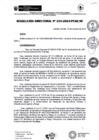 Vista preliminar de documento rd225-2024
