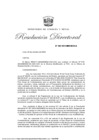 Vista preliminar de documento RD 208